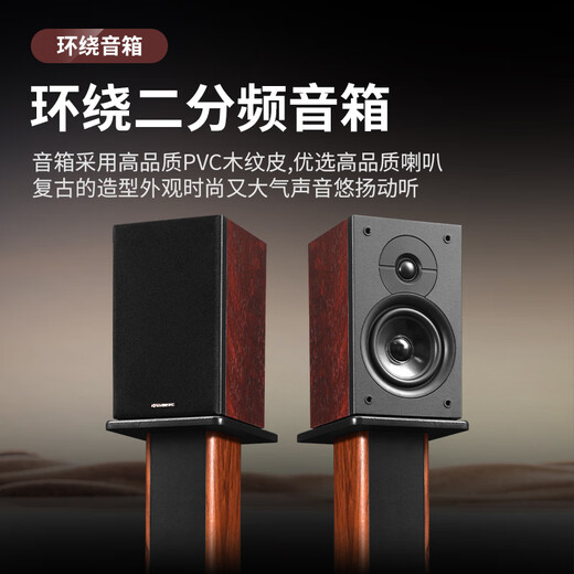 丹麦之笙（DMSEINC） JY-550家庭影院音响 5.1声道无源落地式客厅音响 家用环绕音响 家庭ktv组合低音炮带功放 套餐三：5.1声道+999功放【专业版】店家推荐