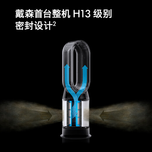 戴森（DYSON）空气净化器暖风扇 HP09（黑金） 368994-01