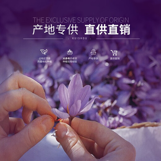 甄品岛 ZHENPDO【买花送种球】上海崇明特产藏红花 藏红花正品 特级藏红花西红花 优享体验装（量少 喝一周）