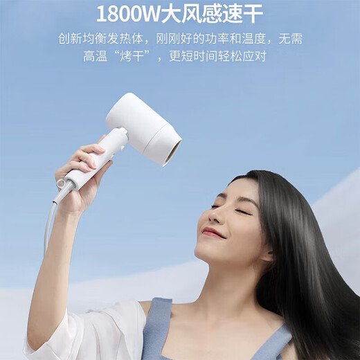 Xiaoshi (showsee) home hotel dormitory hair dryer high power 20 million high concentration negative ions hair care high wind speed drying noise reduction leafless gift portable 1800W high power hair dryer large air volume A10 comes standard with 20 million negative ions