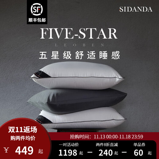 Sidanda95 White Gans Samt Kissen Kissen Fünf-Sterne-Hotel Down Pillow Core 100 Baumwollweiche und komfortable Rebound 2023 verbessertes Rebound-Kissen Low-Kissen 48*74 cm