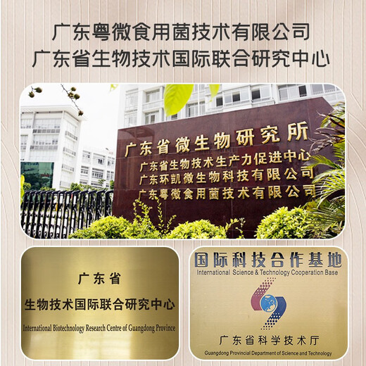 粤微全灵芝孢子粉免疫调节酶法破壁多糖三萜中老年成人保健品送礼 【有机灵芝】2g/袋*30袋/盒