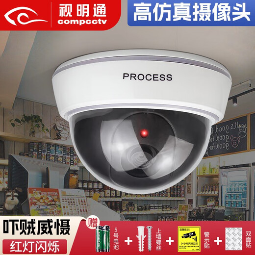 视明通 半球仿真摄像头假监控假摄像头模型仿真监控摄像头带灯室内