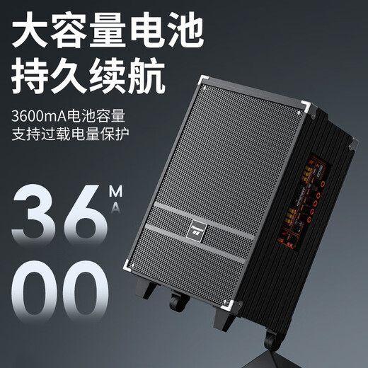 Newman N519 12-inch high-power subwoofer square dance audio mobile home outdoor karaoke Bluetooth trolley portable speaker amplifier dual microphone with adapter