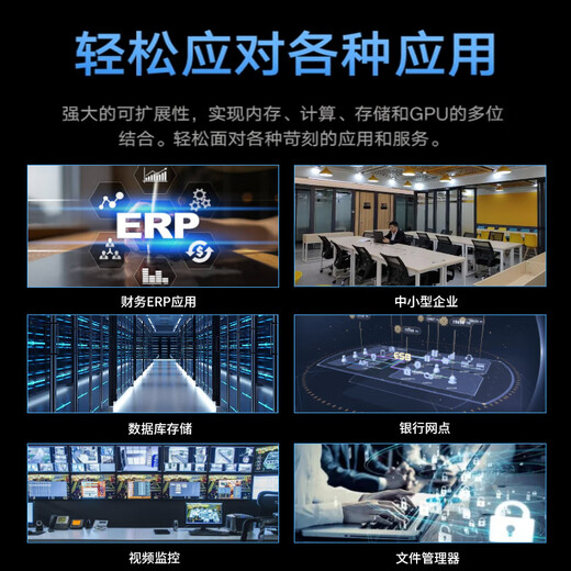 戴尔（DELL）R250 1U机架式服务器ERP文件共享用友托管电脑整机 至强E-2314四核心32G丨2块2T SATA