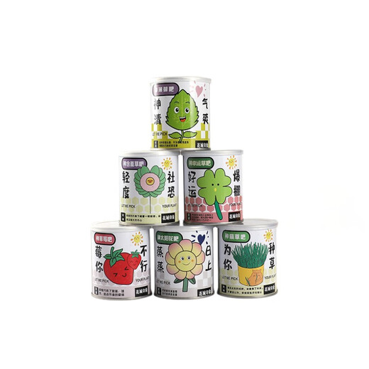 Children's canned plants magical desktop mini green plants creative small potted strawberry sunflower seeds blooming random 4 cans