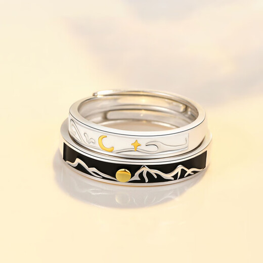 Dirholl (Dirholl) PT950 platinum morning and evening couple's ring, light luxury niche ring 520 Valentine's Day gift for girlfriend and wife, light luxury style - morning and evening ring, no engraving