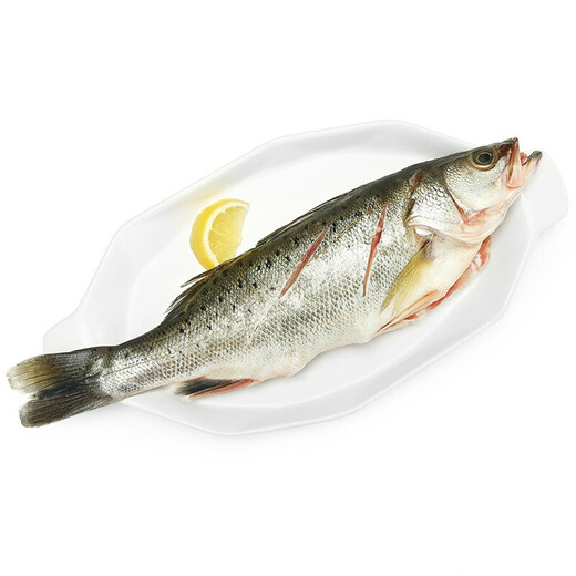 Seaview Frozen Tri-Sea Bass 880g/2 Pieces (Ingredient Pack) Marine Fish Fresh Fish Seafood