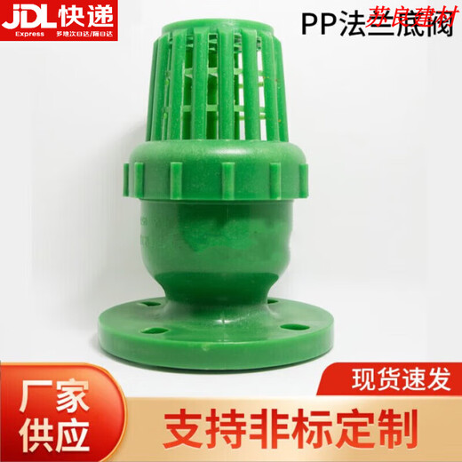 XMSJDN25-DN200防腐耐酸碱塑料底阀 塑料法兰逆止阀止回定制 DN1506寸