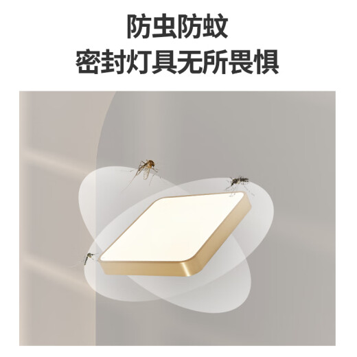 铜颜别墅大门全铜吸顶灯防虫自建房门厅灯入户户外大门口照明灯阳台灯 X3893-400*600/长方形