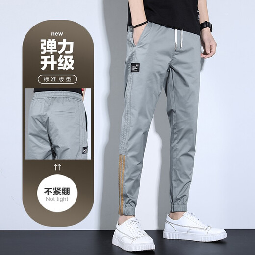 Pantalones casuales de pájaros carpinteros para hombres Pantalones delgados de verano para hombres Seda de seda suelta pantalones de marca de moda para hombres pantalones de hombres delgados de gran tamaño JBB-988 gris l