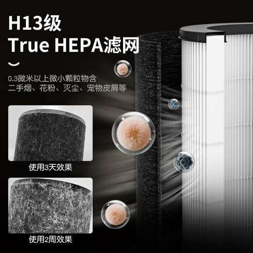 Andermair Allergy Removal Air Purifier Adsorbs cat hair and deodorizes pet floating hair and dust removal and odor removal P