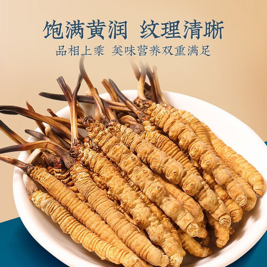 Luzhangtang Tibetan Qu Premium Cordyceps 1 gram Pack of Broken Cordyceps Broken Grass Cordyceps Cooked 1 gram Pack of Bought 1 gram Pack of Self-Selectable. Nagqu, Tibet High-altitude Wild (Whole Meat Cordyceps) 1 gram Pack of