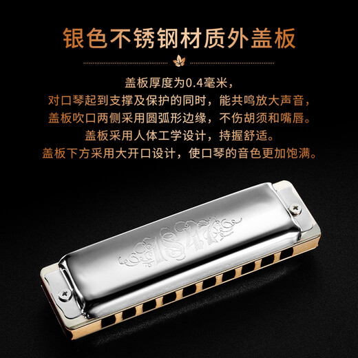 SEYDEL德国进口SEYDEL赛德 十孔10蓝调成人口琴 1847 CLASSIC 10孔LE调