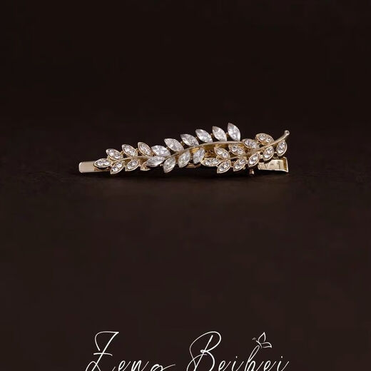 Hongyun Nachahmung Diamant Weizenohr Clip Damen Seitenclip kleine frische Haarspange Temperament Haarspange Stirnband Pony Clip gebrochene Haarspange Weizenohr Seitenclip ein Paar F147