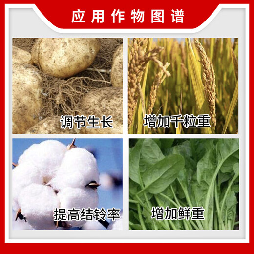 Yue Lian Shanghai Yue Lian 75% gibberellic acid gibberellin 920 growth regulator seedling production early flowering seedless 1g*2000 bags/box