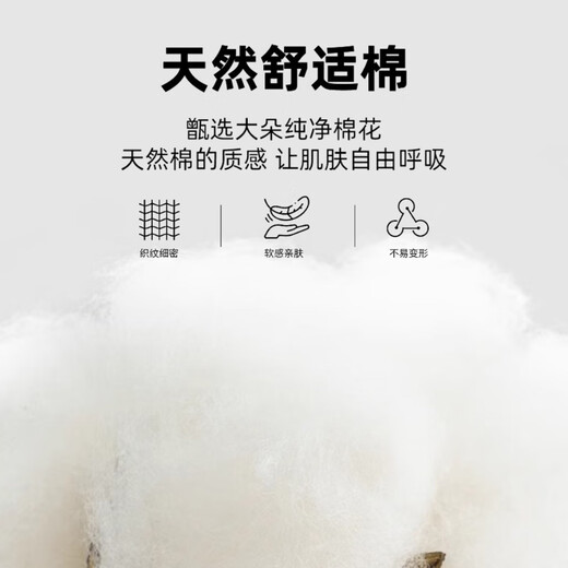 Catman long-sleeved shirt women's white professional 2025 autumn commuting formal professional work clothes white shirt white 38