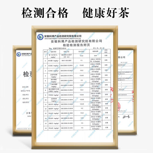 Yanhai Yuexi Green Tea Cuilan 2024 New Tea Cuijian Anqing Yuexi Tea Anhui Tea Green Tea Self-Drink Gift Box 500g