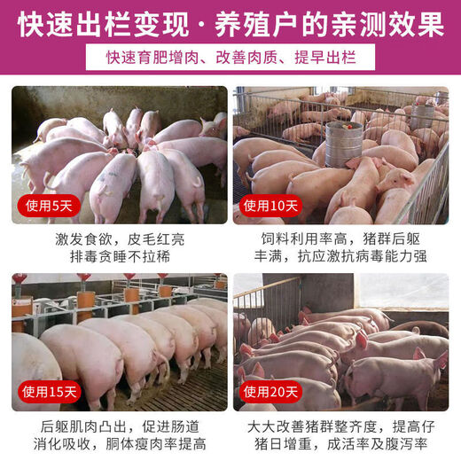 OIMG pig feed additive piglet healthy pig enlarged skeleton rapid fattening agent Zhuer Qiangjian growth hormone 6 bags 80% of farmers purchased