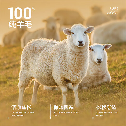 Heilan House Cardigan Men's Light Business Pure Wool Warm Sweater Winter Men's HNZAW3W023A Mi Xing 63 L 175/92A Recommended 137~150Jin Jin equals 0.5 kg