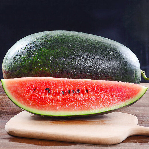 Dayu Black Beauty Watermelon Seeds Extra Large Super Sweet Black Skin Watermelon Seeds Early Maturity Suitable for the South Big Fruit Black Beauty Watermelon Seeds 300 capsules/bag