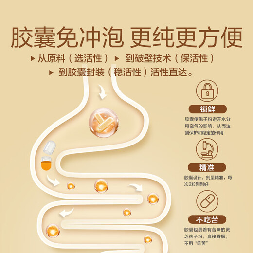 Beiduan Turmeric Ganoderma lucidum spore powder capsule 30 tablets of broken wall Ganoderma lucidum spore powder Linzhi stayed up late and replenished Qi and blood surgery 1 bottle portable package