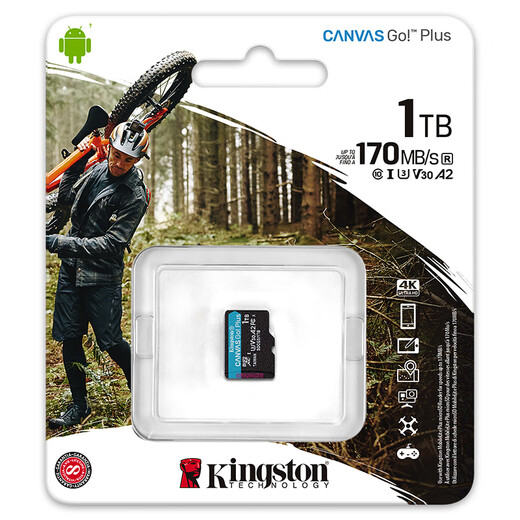 金士顿（Kingston）1TB TF（MicroSD）内存卡U3 V30 A2 4K 读170MB/s游戏机 行车记录仪 运动相机无人机 监控存储卡