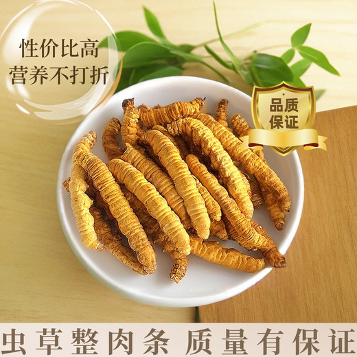 Authentique Tibétain à haute altitude Cordyceps Sinensis Broken Grass Whole Meat Festival 10g Grandes bouteilles pour les produits secs à la maison Nagqu, Tibet 10G [1g libre]