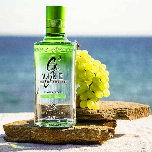 Jifan Gin Vin, French Original Bottle Importé Vin étranger, cocktail Mélange de mélanger vin Vin Gin Gin, Gin Gin Vin, auto-alimentation Jifan Tenghua Gin Wine 700ml * 1 Bouteille