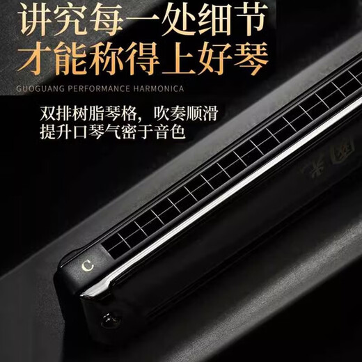Guoguang Importé Gong Guoguang harmonica authentique en polyphonique 24 trous # A / B / C / D / F / G Tune / F / F / G Tune / F / Adult Professional Performance Niveau #G Tune (A-FLOAT)