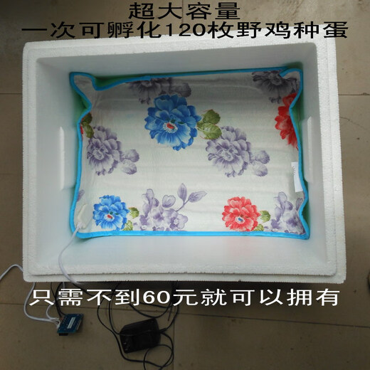 自制自动控温小型家用型水床孵化器小鸡鹌鹑鸽子蛋孵化机孵蛋器箱 100枚双电源铝板水床无箱