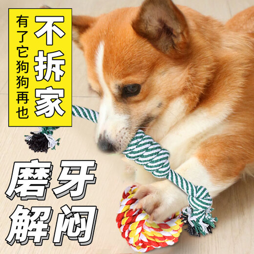 Pochido dog toy cotton rope five-piece set, puppy molars, bite-resistant rope knot ball, pet boredom relief artifact, interactive tug-of-war rope