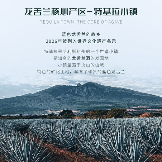 欧帅【世界烈酒大赛双金奖】墨西哥原瓶进口咖啡力娇酒龙舌兰洋酒微醺 杏仁龙舌兰 1瓶 750mL