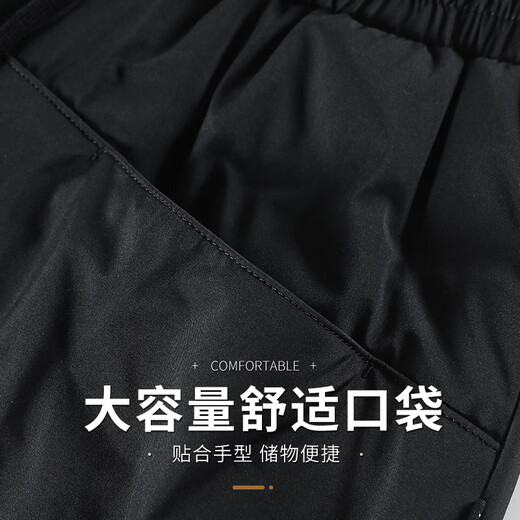 Snow Flying Down Pants Women's Autumn and Winter Warm and Thickened Fashionable Casual Wide-Leg Straight Pants Black 175/XL