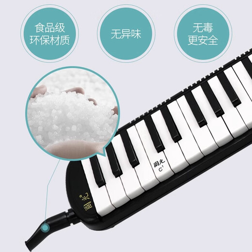 国光口风琴37键学生用32键初学者儿童课堂教学款成人演奏吹管乐器 37键黑色【全乐理专业演奏】