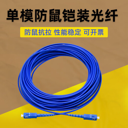 Armored fiber optic patch cord SC to LC-FC-ST rat-proof and tensile-resistant single-mode single-core 10M/30/50m pigtail extension Carrier-grade armored single-mode single-core FC-FC 20m