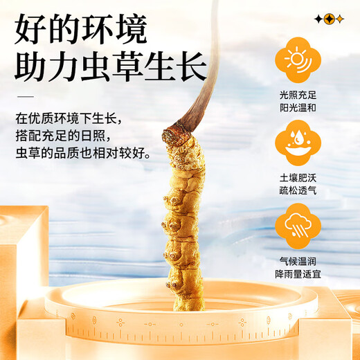 雷允上旗舰店 冬虫夏草断虫草高品质断草干货高端滋补品 断虫草10g【自用滋补入门】