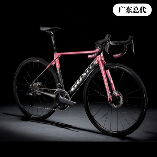 SUNPEED高士特公路车GUSTO RANGER EVO碳纤维碟刹电变破风气动自行车 车队金 更多尺码请联系客服确认 电变7170铝轮铝把