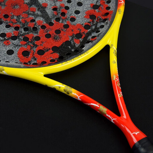 Ronning Professional Tai Chi Soft Racket Ensemble 168 Trou Full Carbone Débutors d'âge moyen et de fitness âgé 655 Surface de prise multi-trous de 168 trou Blossom Plum jaune rouge (ensemble)