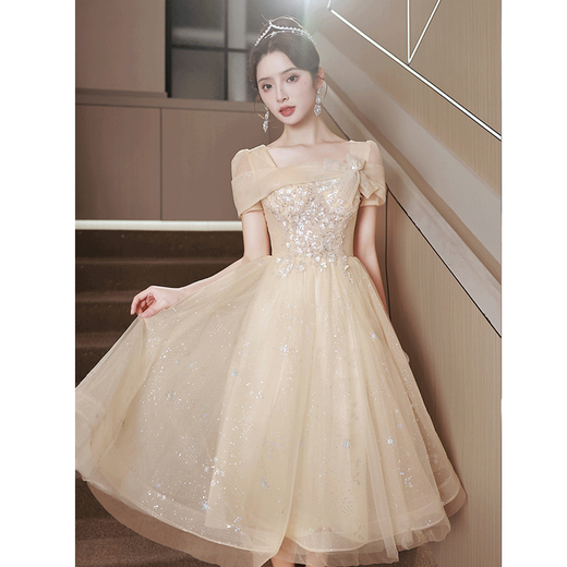 SAIDELE champagne color evening dress 2025 new adult gift small birthday party light luxury niche high-end art exam skirt for women champagne color medium length XL (recommended 116-125 Jin [Jin equals 0.5 kg])

