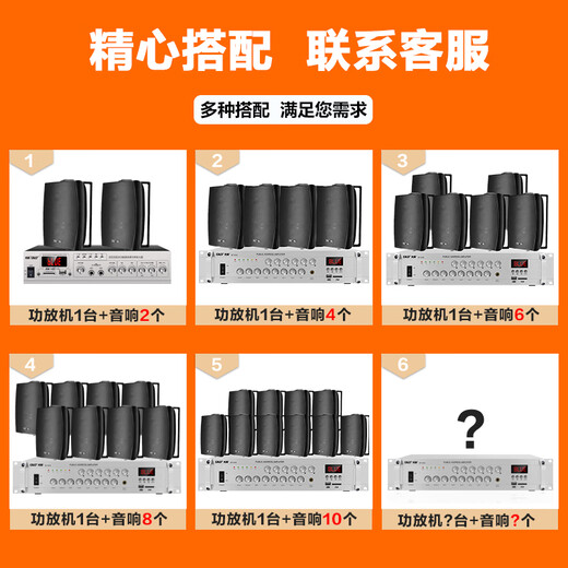 先科（SAST）DW50壁挂音箱喇叭 50W无源需连功放机音响店铺商用工程会议室家用餐厅公共广播背景音乐 5英寸