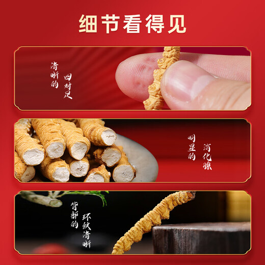首养堂冬虫夏草3根/g 20根虫草礼盒装新干冬虫草送礼佳品【端午节礼物】