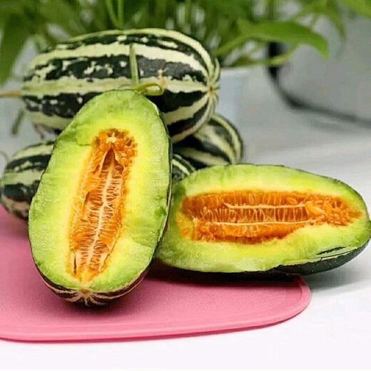 Zhongke Maohua vegetable and fruit seeds Bomei No. 9 melon seeds Huayang Boyang series Bomei 91 melon seeds 94 super sweet Bomei No. 9 50 capsules/bag trial planting pack