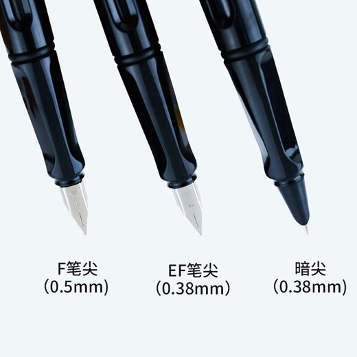 烂笔头 2支装钢笔757A正姿男女孩初学者卡通中小学生用练字书法特细可吸墨换墨囊两用儿童钢笔 全彩蓝2支装 暗尖0.38(50支蓝黑色墨囊)