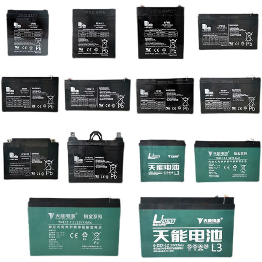 Temei Sound Temei Sound Square Dance Trolley Speaker Outdoor Speaker Original Battery Brand New Lead Acid Battery Battery Battery 12V9A Tianneng Upgraded Model