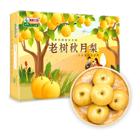 Beijing fresh green earth Laiyang old tree Qiuyue pear 6Jin Jin is equal to 0.5kg 6 pieces high-quality large fruit fruit gift box
