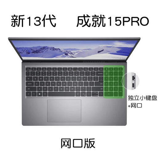 戴尔（DELL）成就15Pro 3530高性能笔记本学生家用轻薄120HZ高刷游戏办公窄边框手提电脑 成就 i7-1355U  锐炬Xe显卡 有网口 32G内存丨1T固态 定制