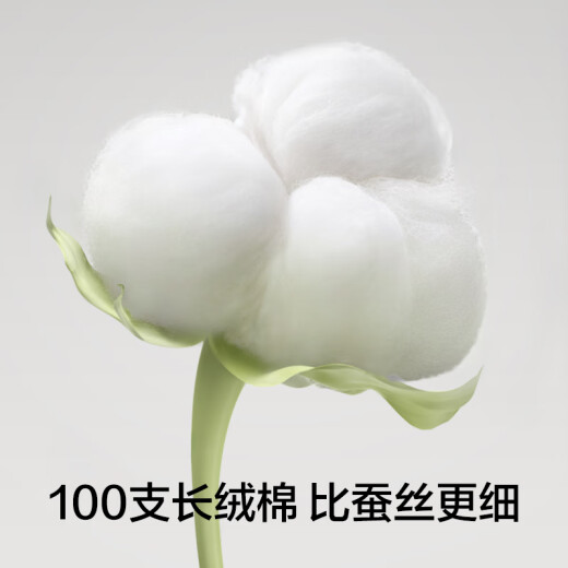 有棵树女士内裤女7A抗菌裆新疆棉中腰无痕透气少女生四季款三角短裤 【100支棉】白+白+绿+绿 4条 L