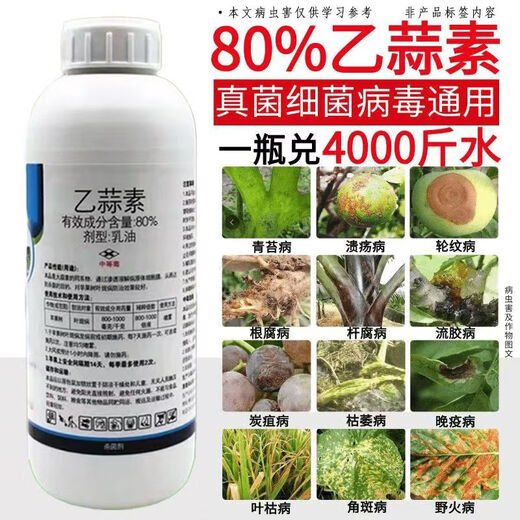 Genuine 80-ethyl allicin fruit tree root rot fungus bacteria moss leaf spot citrus canker fungicide 500g*1
