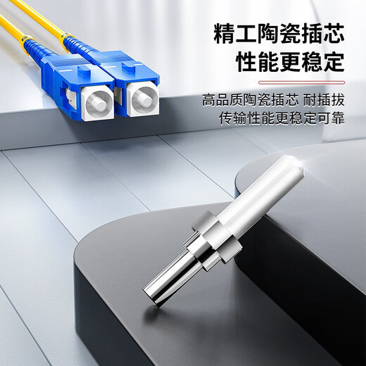 安普康AMPCOM电信级LC-SC单模光纤跳线9/125单芯低烟无卤LSZH环保外皮10G尾纤收发器 电信级单模双芯9/125 2.0外径 50米